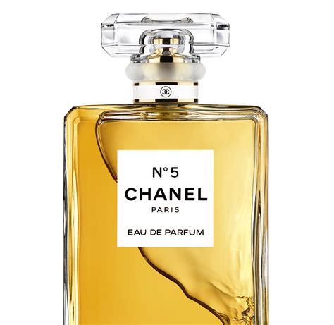 chanel n5 fragrantica|chanel n5 perfume price.